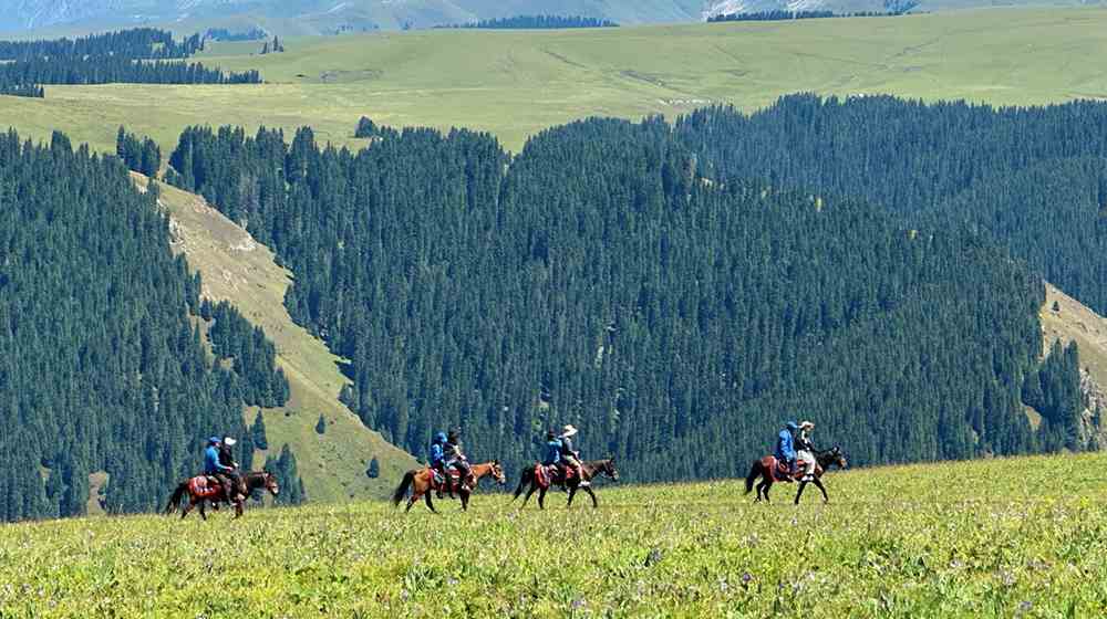 【新疆野騎】喀拉峻C綫5天4晚：秘境峽谷·雪山森林·牧歌之旅